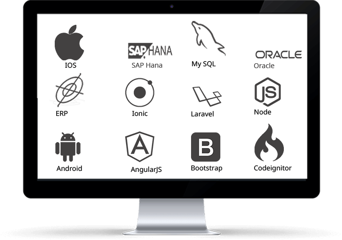 Software Development Company