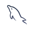 Software Development Company
