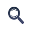 Software Development Company